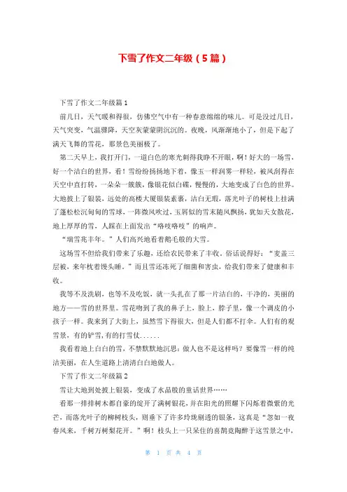 下雪了作文二年级(5篇)