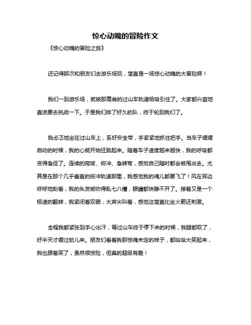 惊心动魄的冒险作文