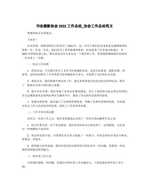书法摄影协会2022工作总结_协会工作总结范文