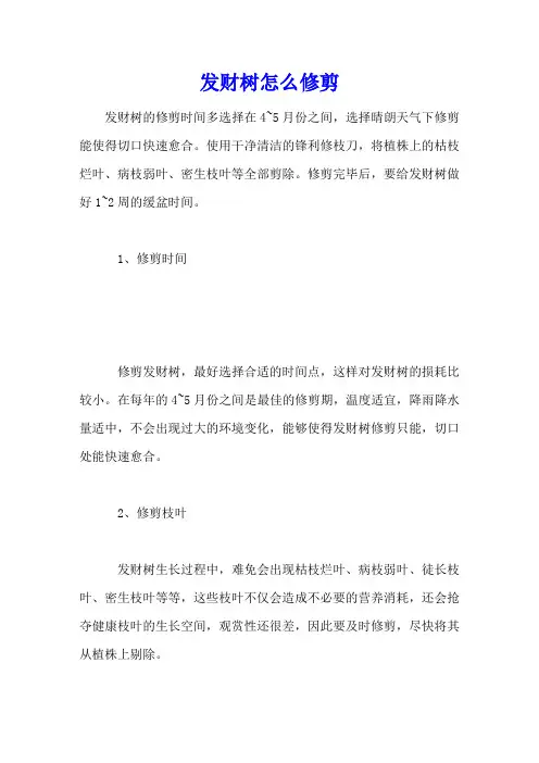 发财树怎么修剪