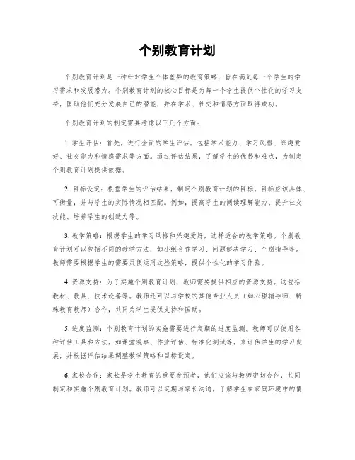 个别教育计划