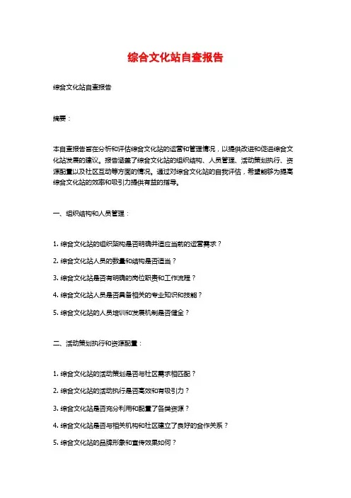 综合文化站自查报告