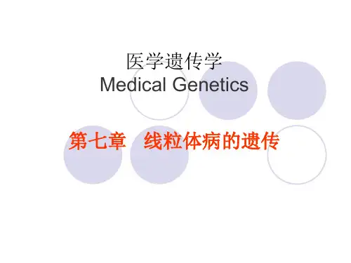 医学遗传学课件：线粒体病的遗传