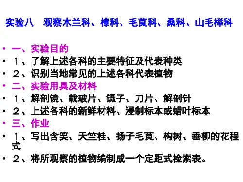 实验八观察木兰科、樟科、毛茛科、桑科、山毛榉科