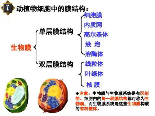 质壁分离程度越大随着蔗糖溶液浓度的增加