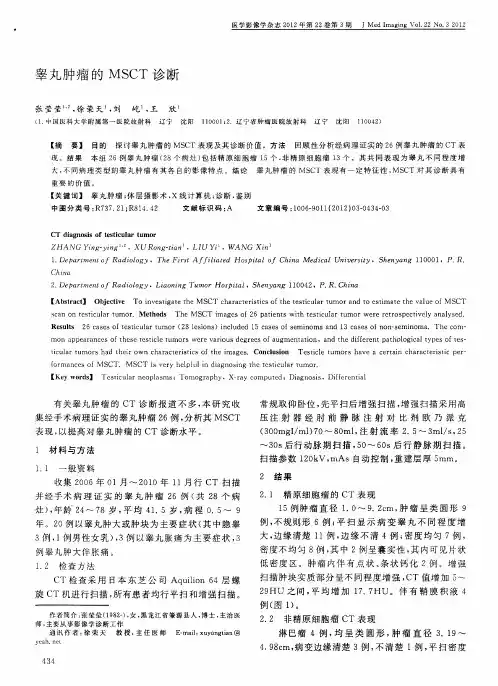 睾丸肿瘤的MSCT诊断