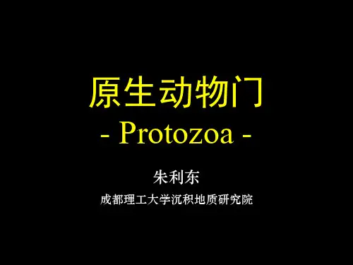 古生物——原生动物门