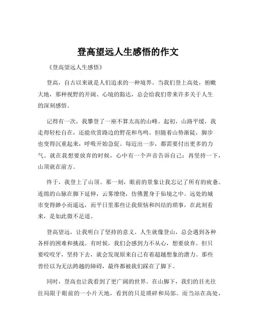 登高望远人生感悟的作文