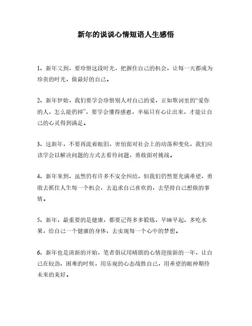 新年的说说心情短语人生感悟