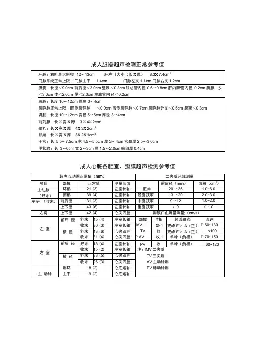 超声测量正常值