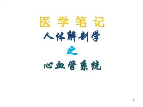 人体解剖心脑血管动脉ppt课件