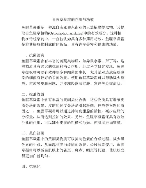 鱼腥草凝霜的作用与功效