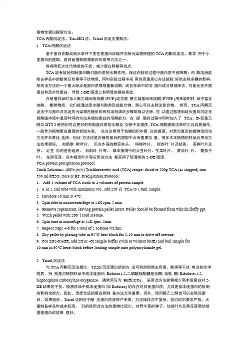 植物蛋白提取