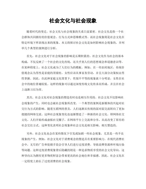 社会文化与社会现象