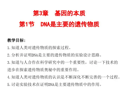 DNA是主要的遗传物质人教版高中生物必修二教学课件2