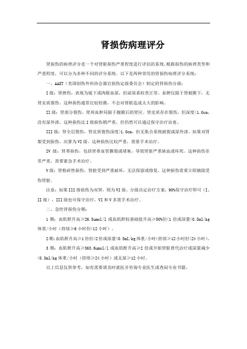 肾损伤病理评分