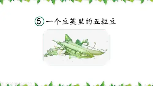 《一个豆荚里的五粒豆》语文教学PPT课件(3篇)