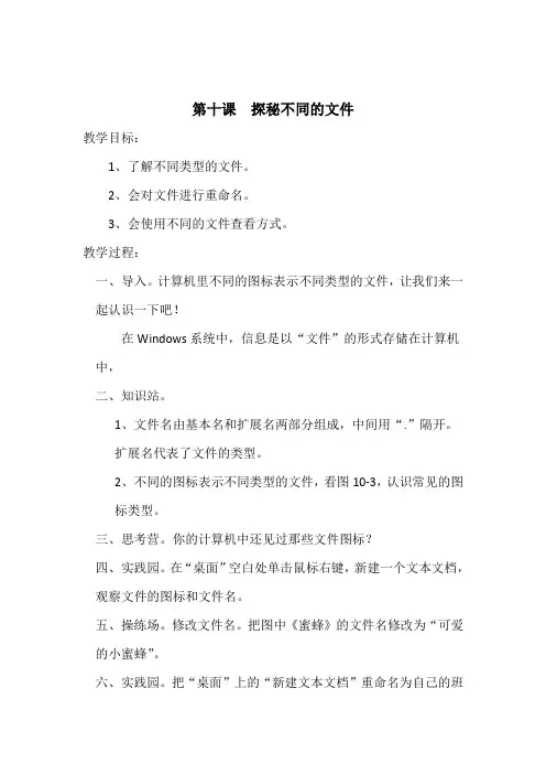 三年级上册信息技术教案第十课《探秘不同的文件》