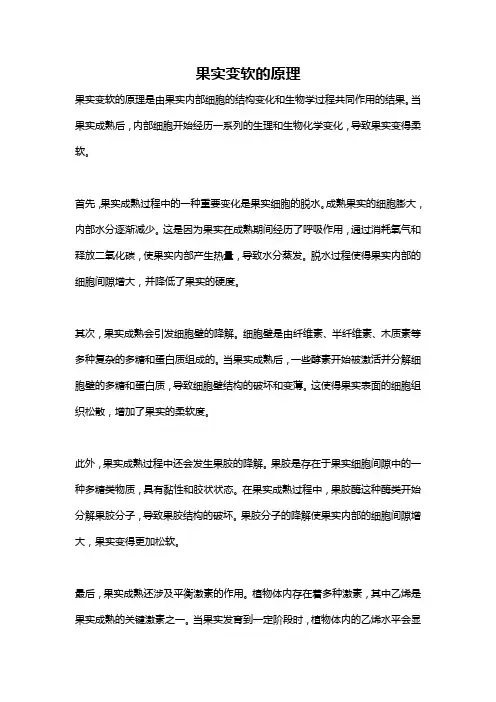 果实变软的原理