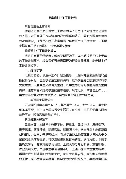培智班主任工作计划