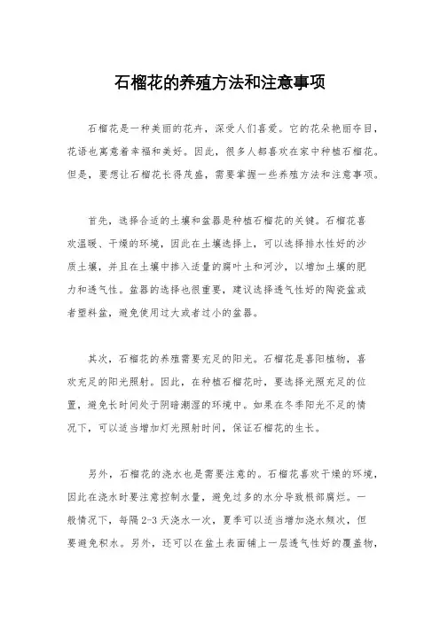 石榴花的养殖方法和注意事项