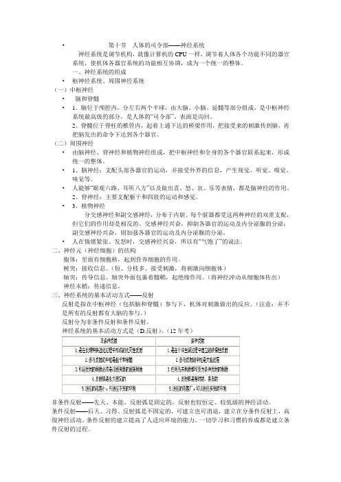 学前卫生学—— 神经系统