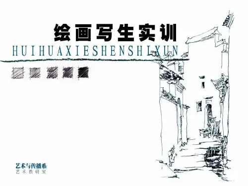 速写概述