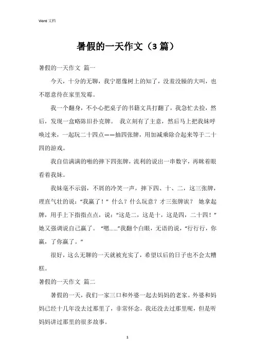 暑假的一天作文(3篇)