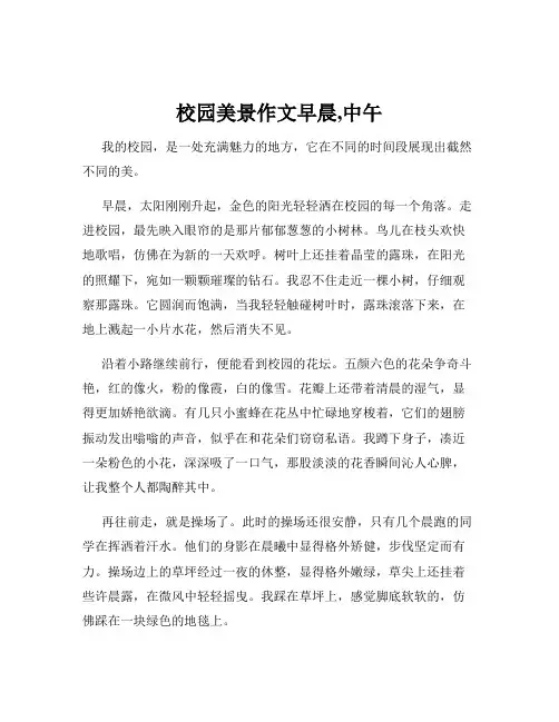 校园美景作文早晨,中午