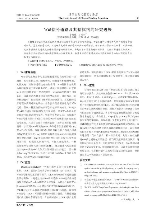 wnt信号通路及其拮抗剂的研究进展
