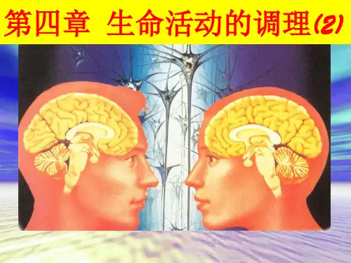 [高二理化生]人和高等动物生命活动的调节ppt课件