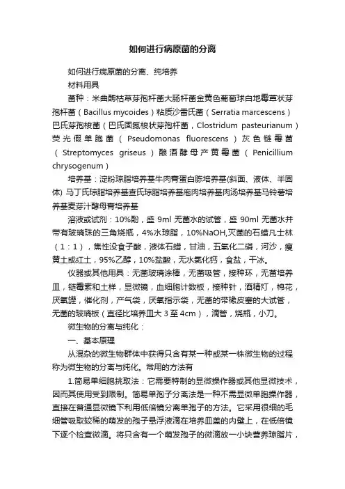 如何进行病原菌的分离