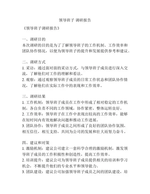 领导班子 调研报告