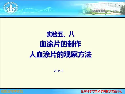 实验血涂片的制作及人血图片的观察PPT课件