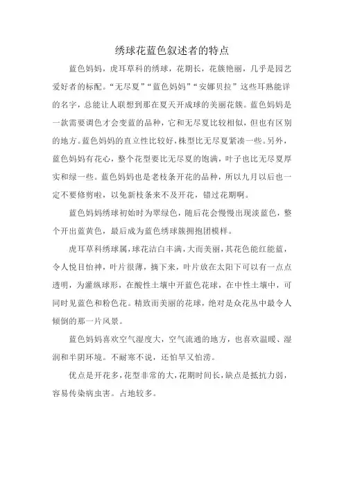 绣球花蓝色叙述者的特点