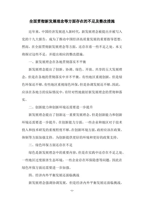 全面贯彻新发展理念等方面存在的不足及整改措施