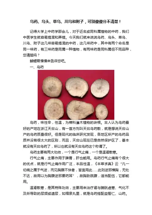 乌药、乌头、草乌、川乌和附子，可别傻傻分不清楚！