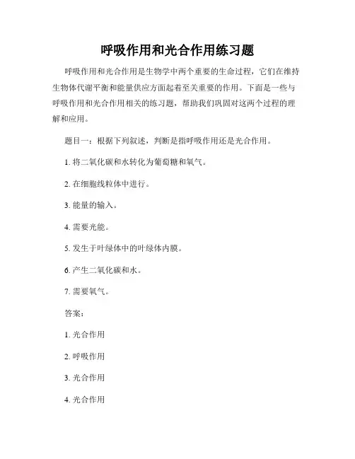 呼吸作用和光合作用练习题