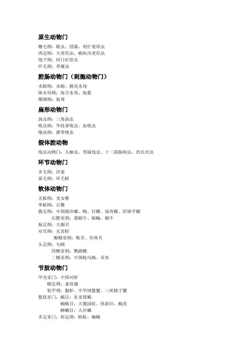 动物学分类