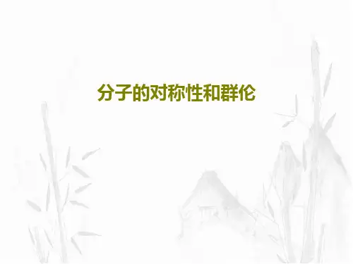 分子的对称性和群伦共120页文档