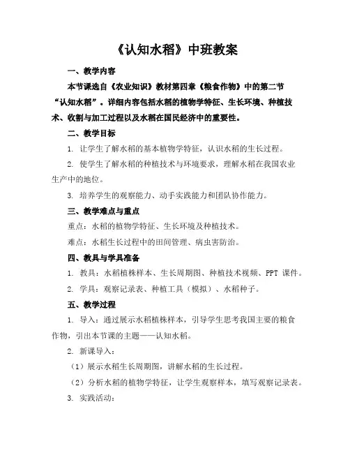《认知水稻》中班教案