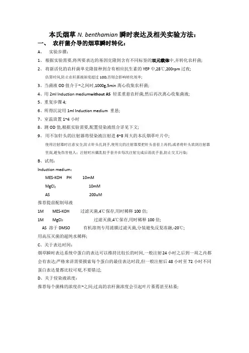 亚细胞定位之烟草转化方法