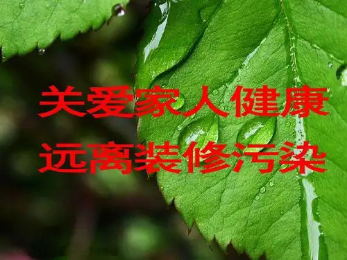 环保装修专题讲座.ppt