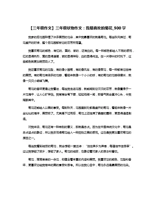 【三年级作文】三年级状物作文：我最喜欢的菊花_500字