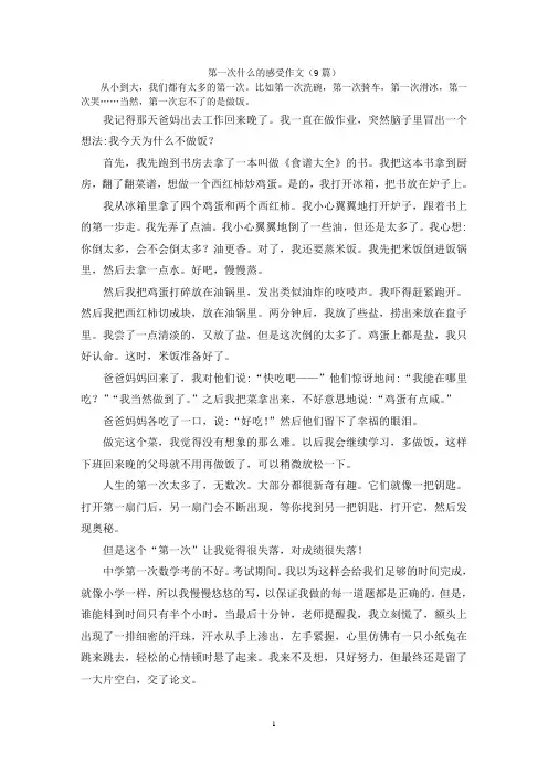 第一次什么的感受作文(9篇)