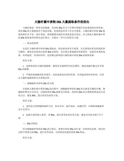 大肠杆菌中质粒DNA大量提取条件的优化