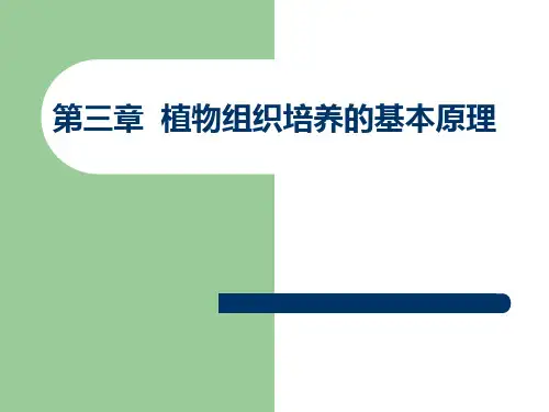 第三章 植物组织培养的基本原理2011.3.9