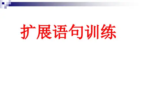 语言表达与运用之扩展语句讲解