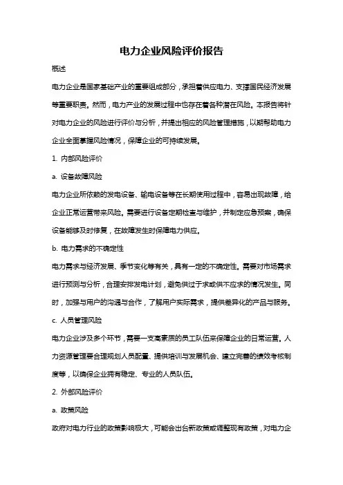 电力企业风险评价报告
