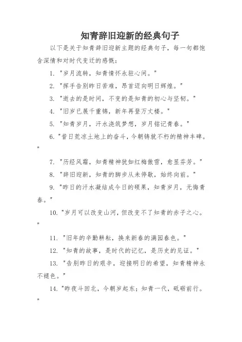 知青辞旧迎新的经典句子